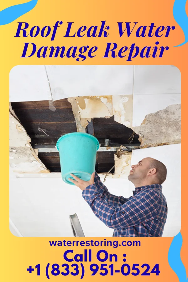 Roof Leak Water Damage Repair in La Paz, IN