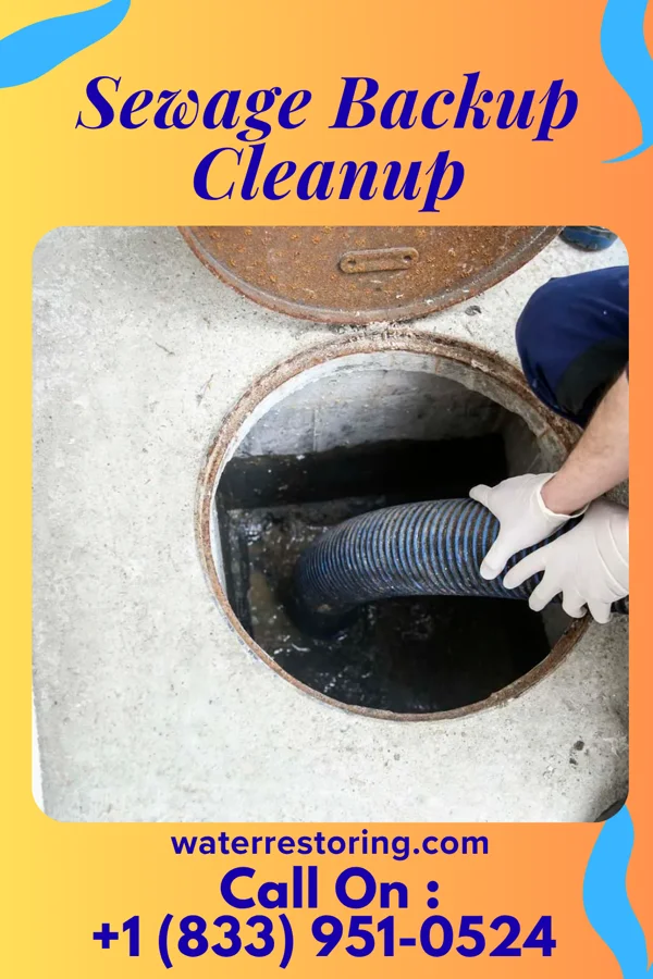 Sewage Backup Cleanup in La Paz, IN