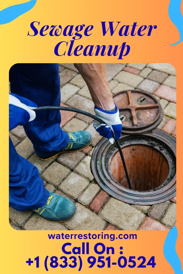 Sewage Water Cleanup in La Paz, IN